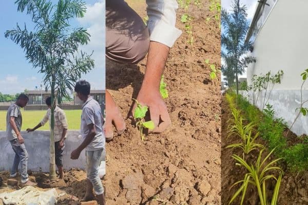 Landscape Installation